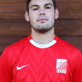 David  Malenínský